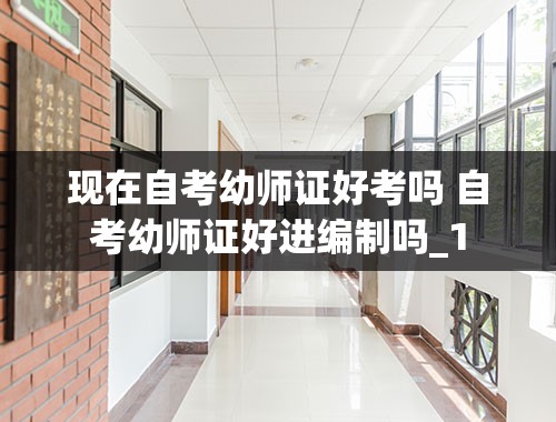 现在自考幼师证好考吗 自考幼师证好进编制吗_1