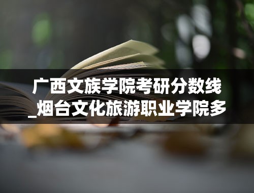 广西文族学院考研分数线_烟台文化旅游职业学院多少分